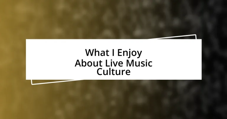 What I Enjoy About Live Music Culture