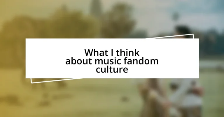 What I think about music fandom culture