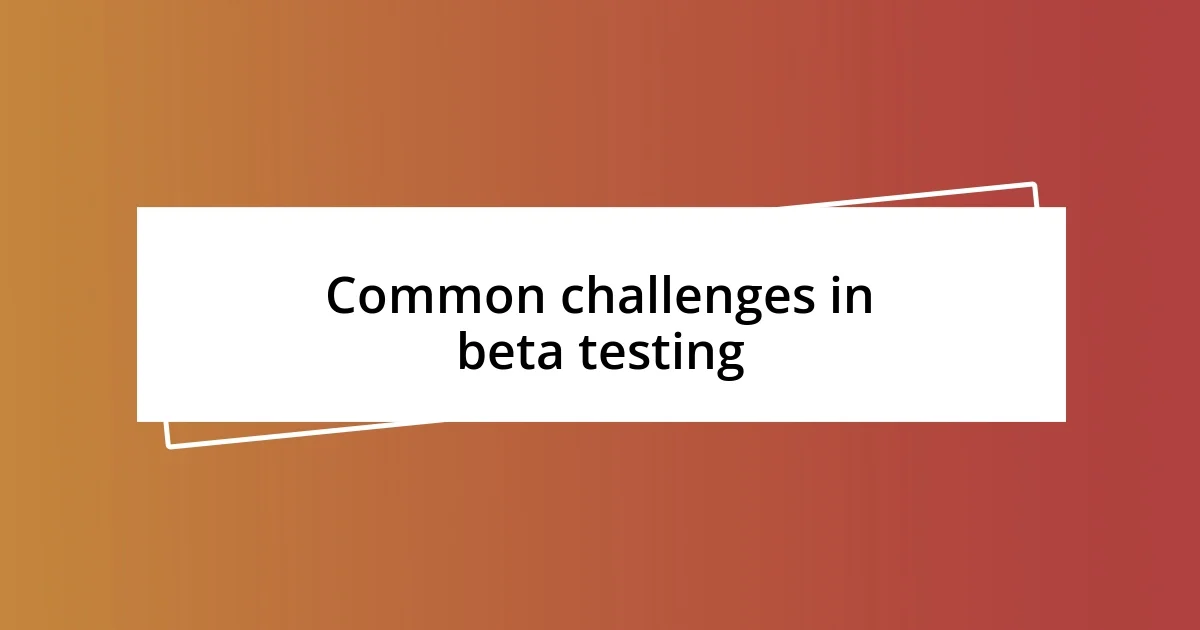 Common challenges in beta testing